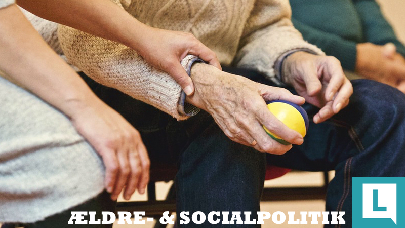politik aeldre og socialpolitik
